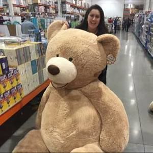 Meet your Posher, Gina